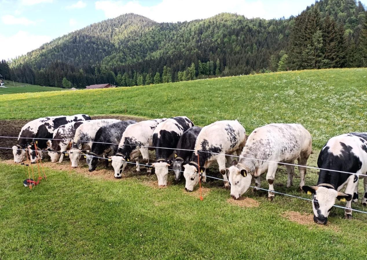 Bichlhof Riedenberg Villa Thiersee Eksteriør bilde