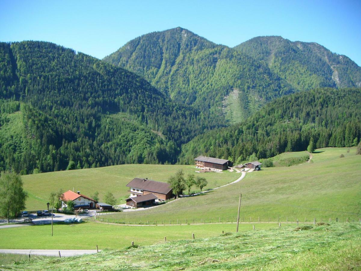 Bichlhof Riedenberg Villa Thiersee Eksteriør bilde